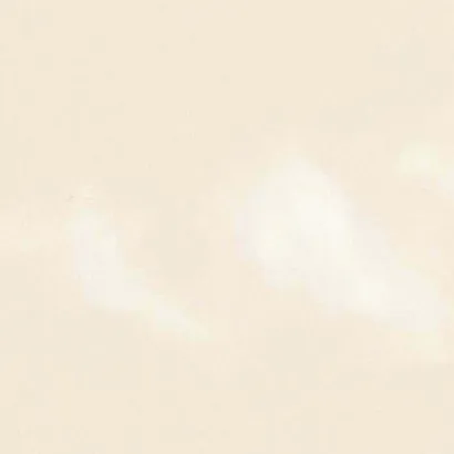 Monocolour Hueso Cream Flat Gloss Metro 200x100