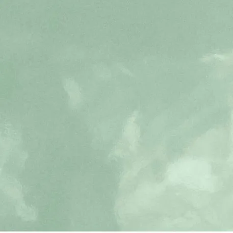 Monocolour Alga Green Flat Gloss Metro 200x100