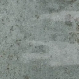 Clemence Forest 20x10