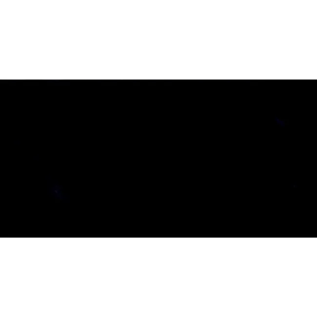 Liso Black Gloss Metro Tiles 100x200