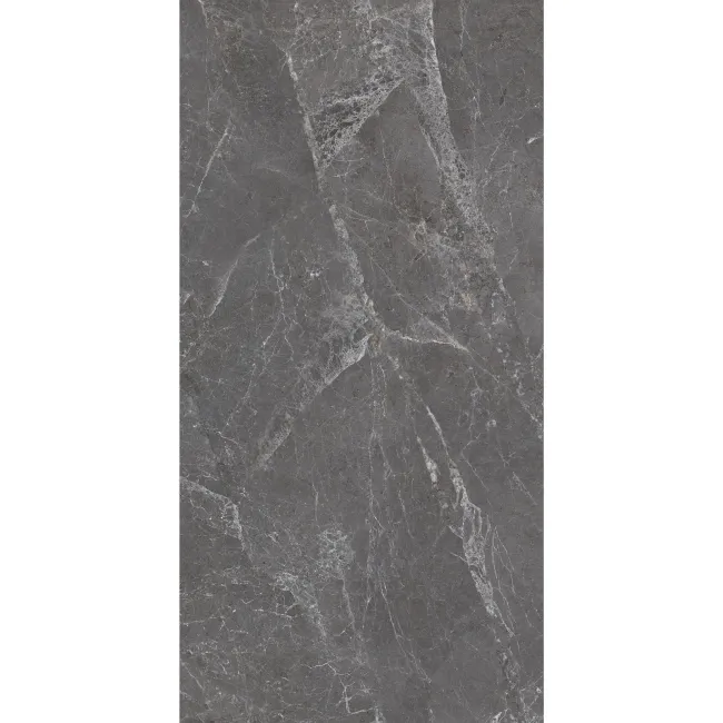 Signature Murano Mate Gris 60X120
