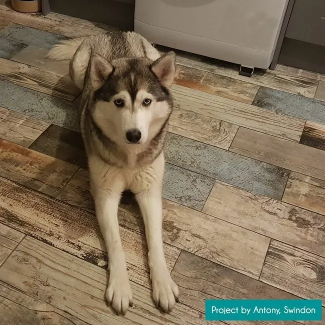 Vintage Blue Wood Effect Tile 15x60