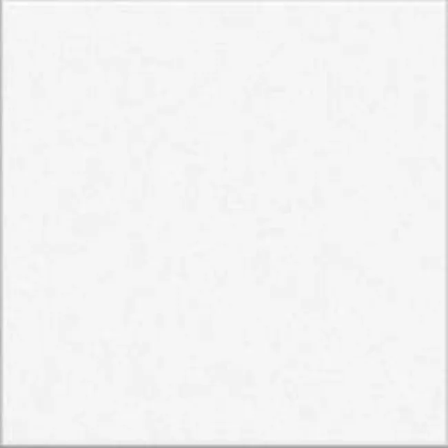 Prismatics White Gloss