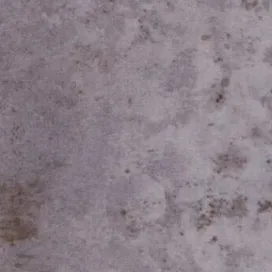 Clemence Orchid 20x10