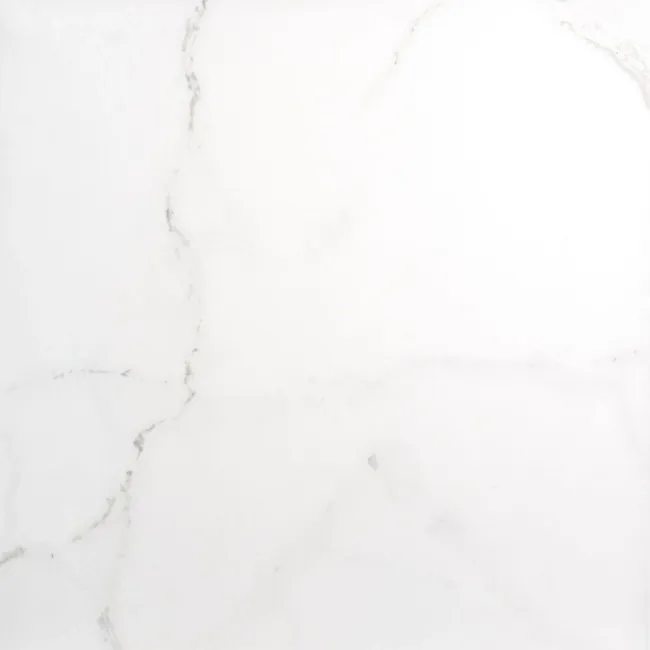 Palatina 60.5x60.5 Matt Marble Effect Tile