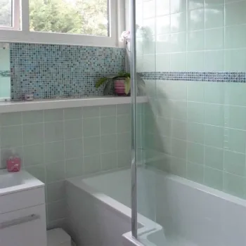 Prismatics Satin Willow