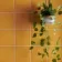 Modern Heritage Dijon Tiles