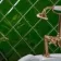 Modern Heritage Victorian Green Bevelled Tiles