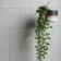 Liso Perla Grey Gloss Metro Tiles 100x200