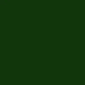 Modern Heritage Victorian Green Tiles
