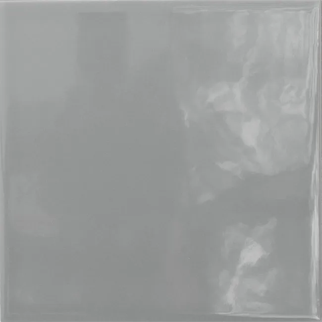 Monocolour Plata Grey Flat Gloss Square 150x150
