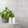 Atrium Marte Stone Effect Gris 30x61